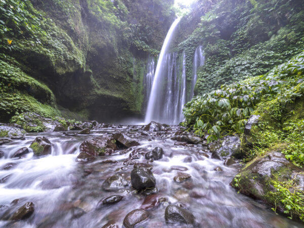 TOUR TO SENDANG GILE & TIU KELEP WATERFALLS, MALIMBU BEACH, MONKEY FOREST