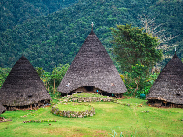 5D/4N EXPLORE WAE REBO & TREKKING SNORKELING IN KOMODO NP WITH LIVE ON BOARD