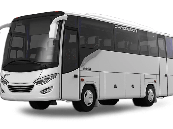 MEDIUM BUS