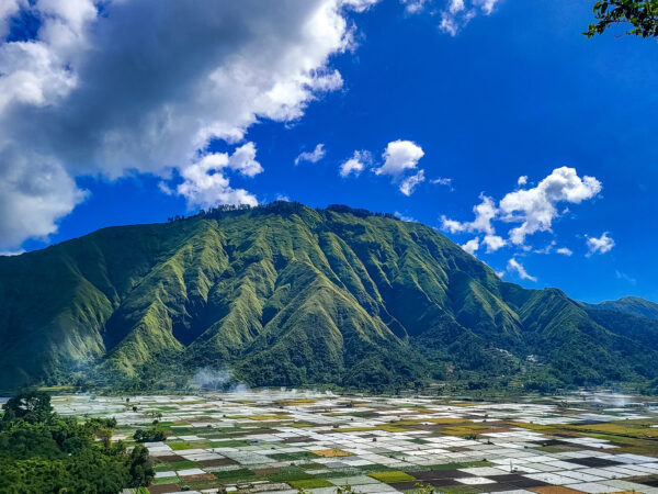 TOUR TO FOOT OF RINJANI MOUNTAIN, BATU BOLONG TEMPLE, TRADITIONAL MARKET, SASAK CULTURE & VISIT SELONG HILL.
