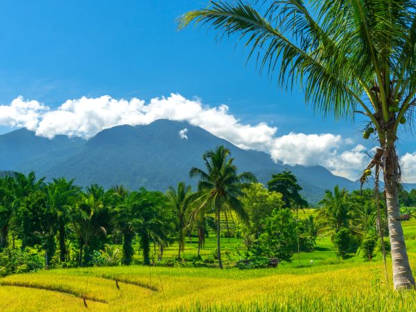 LOMBOK TOUR PACKAGE 5 DAYS 4 NIGHTS – OPTION A
