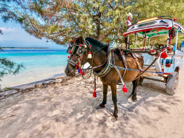 AMAZING LOMBOK TRAVEL