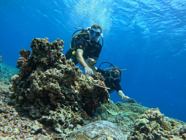 GILI ISLANDS DIVING ADVENTURE - DAY TRIP DIVING PACKAGE - LOMBOK, INDONESIA